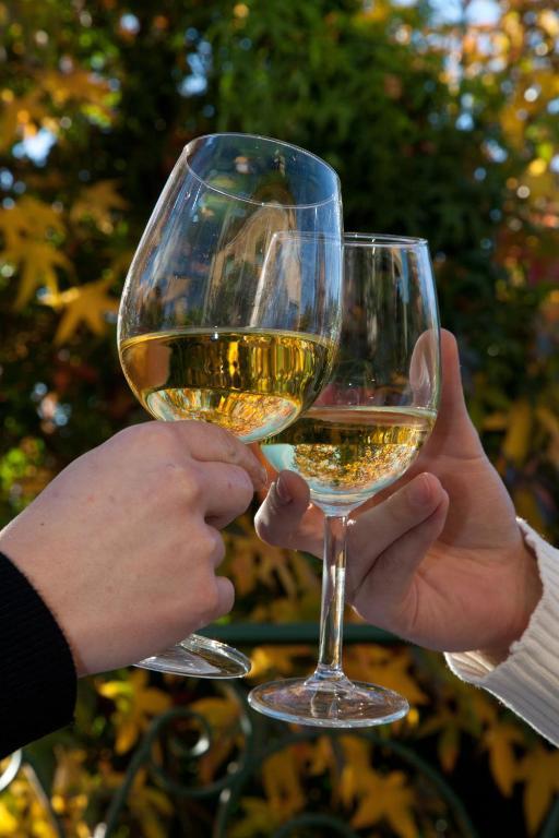 Crecíente 伊赫斯达尔戈水疗旅馆酒店 外观 照片